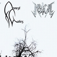 Forest Gates - Insight